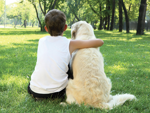 resguardo para perros